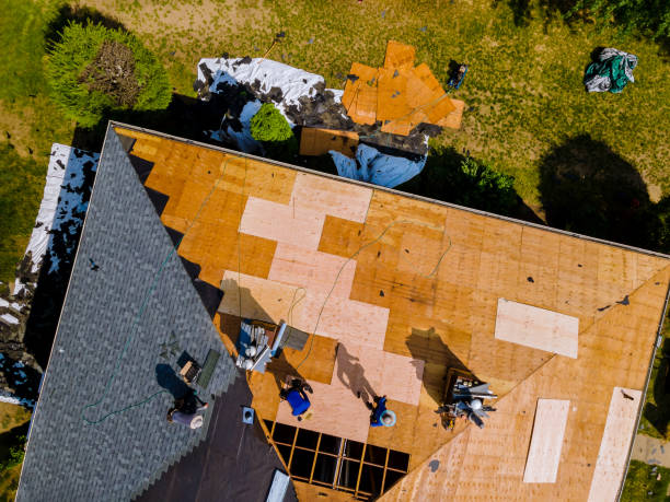 Best Storm Damage Roof Repair  in Maplewood, MO
